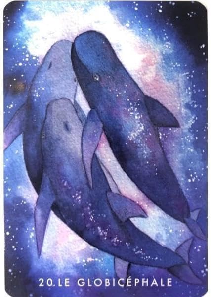 正規品オラクルカード】 水彩画の美麗イラストイルカやクジラに会える